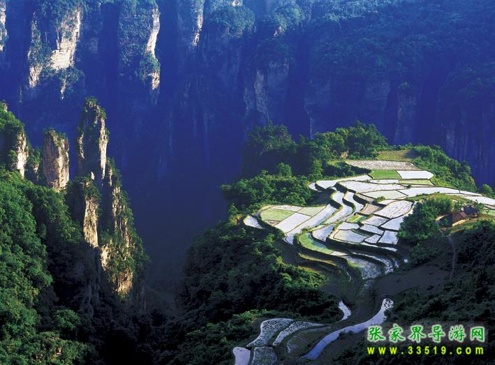 張家界楊家界風景區